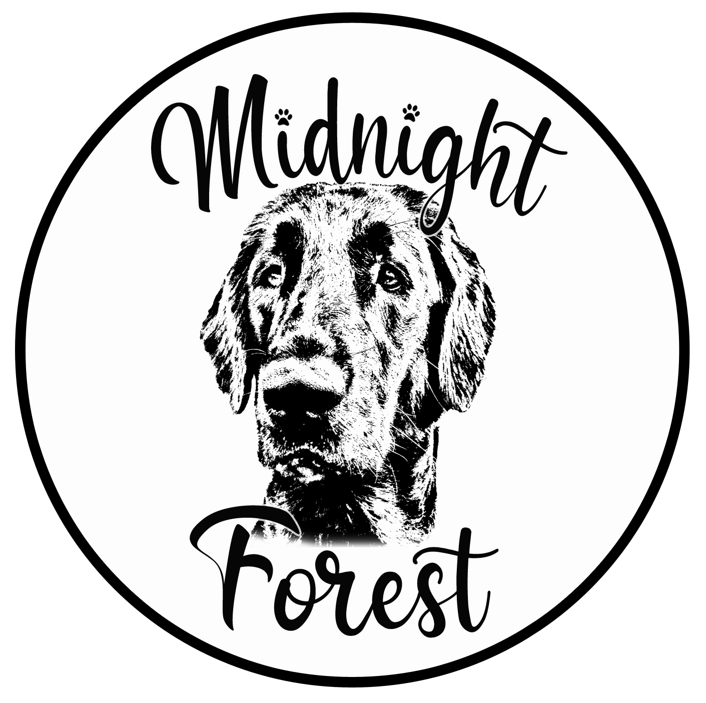 logo Midnight Forest