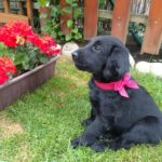 IMG_20220710_162346388